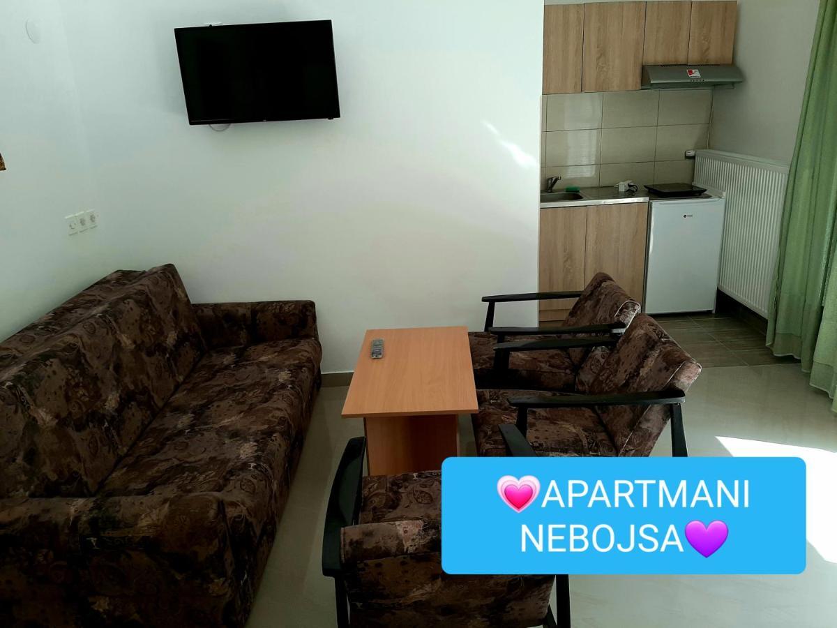 Apartments Nebojsa Soko Banja Exterior foto